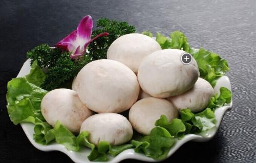 蓉城传奇冒菜店口蘑菜品图片 蓉城传奇冒菜店口蘑菜品图片