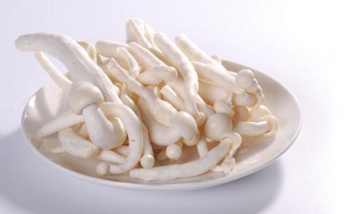 蓉城传奇冒菜店海鲜菇菜品图片 蓉城传奇冒菜店海鲜菇菜品图片