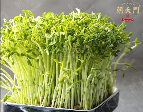 朝天门火锅加盟店活体绿豆芽菜品图 朝天门火锅加盟店活体绿豆芽菜品图